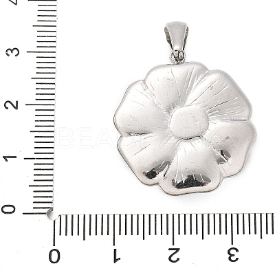 304 Stainless Steel Pendants STAS-Q349-01F-P-1