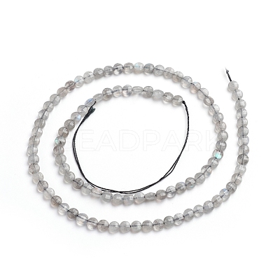 Natural Labradorite Beads Strands G-E560-C08-4mm-1