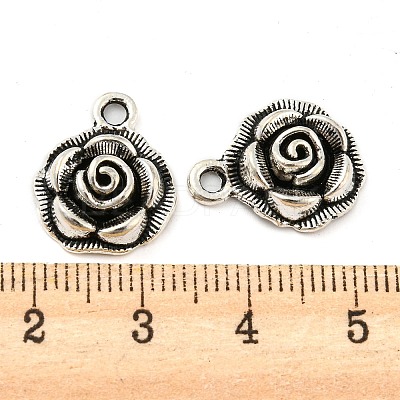 Alloy Pendants X-FIND-G065-14AS-1