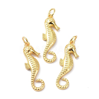 Eco-Friendly Brass Pendants KK-C221-04G-1