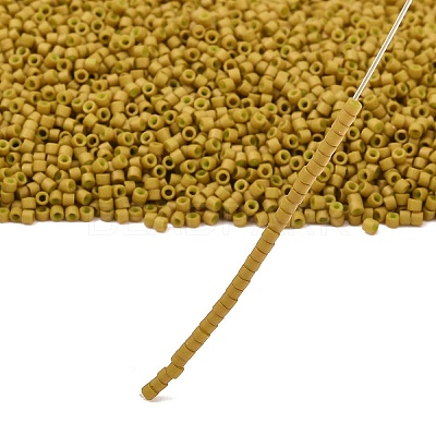 MIYUKI Delica Beads SEED-X0054-DB0665-1
