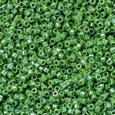 MIYUKI Delica Beads Small X-SEED-J020-DBS0163-1