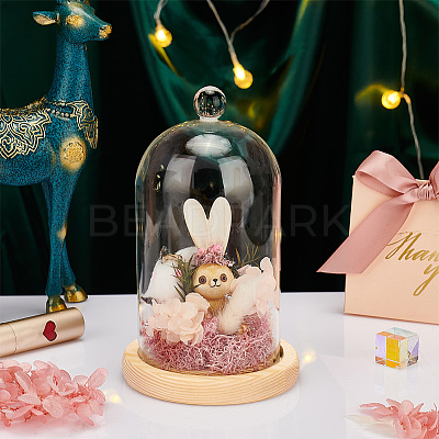 Glass Dome Cover AJEW-WH0307-75A-1
