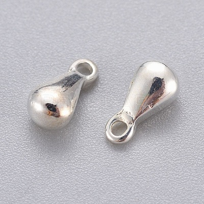 304 Stainless Steel Charms STAS-G029-1S-1