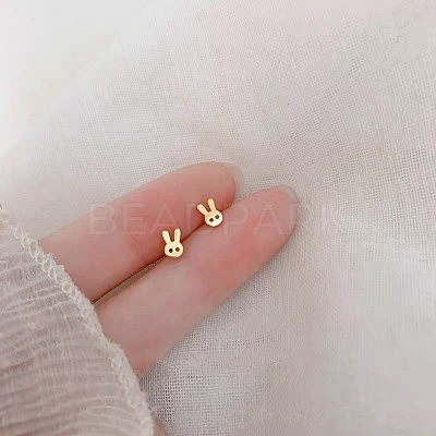 Alloy Earrings for Women FS-WG98937-45-1