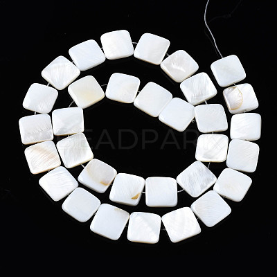 Natural Freshwater Shell Beads Strands SHEL-Q024-014-1