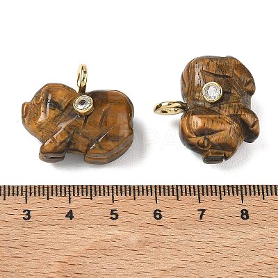 Natural Tiger Eye Carved Pendants GG-CBA105B-03I-G-1