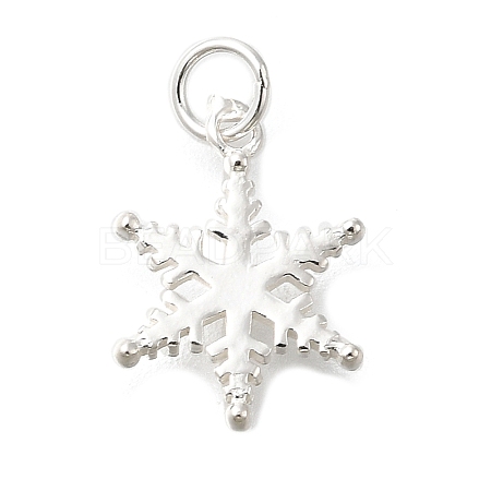 925 Sterling Silver Pendants STER-Q003-01B-S-1