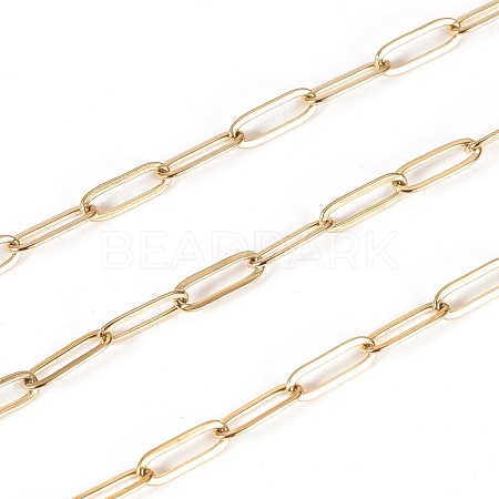 3.28 Feet Ion Plating(IP) 304 Stainless Steel Paperclip Chains X-STAS-K209-07G-1