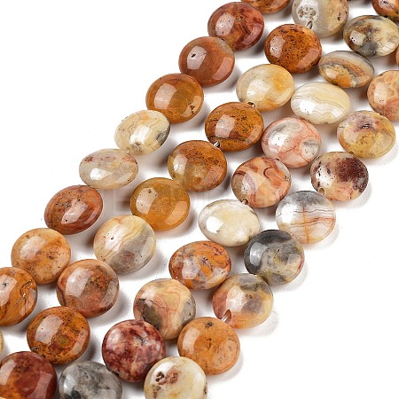 Flat Round Natural Crazy Lace Agate Beads Strands G-S110-12mm-05-1