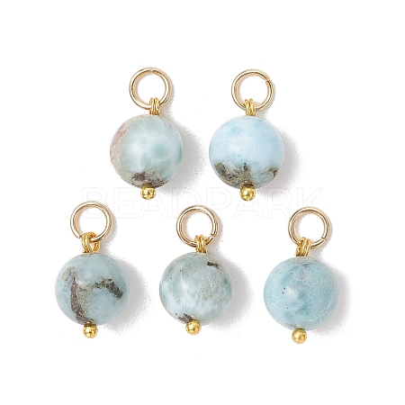 Natural Larimar Pendants PALLOY-JF05255-1
