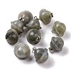 Natural Labradorite Pendants G-B041-01P-04-1