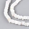 Natural Trochid Shell/Trochus Shell Beads Strands SSHEL-N040-21H-3