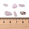 Natural Kunzite Beads G-Z099-A01-3