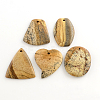 Picture Jasper Gemstone Pendants G-R270-10-1