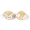 Handmade Porcelain Beads PORC-Q002-01G-01-2
