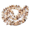 Natural Freshwater Shell Beads Strands SHEL-S278-071D-2