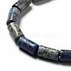 Natural Lapis Lazuli Beads Strands G-I326-05B-4