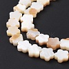Natural Freshwater Shell Beads Strands SHEL-H002-03G-4
