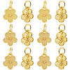 40Pcs Rack Plating Alloy Charms FIND-BBC0003-41G-1