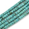 Dyed Natural Magnesite Beads Strands G-M448-C01-01-2