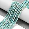 Natural HuBei Turquoise Beads Strands G-G792-38-01-2