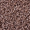 MIYUKI Round Rocailles Beads SEED-G007-RR0641-3