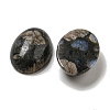 Natural Glaucophane Cabochons G-C115-01A-23-2