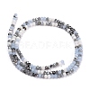 Glass Beads Strands GLAA-F106-C-21-2