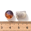 Mixed Style Glass Beads GLAA-XCP0012-02T-3