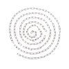 Unwelded Iron Paperclip Chains CH-FS0001-01P-2