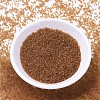 MIYUKI Delica Beads Small X-SEED-J020-DBS1101-2
