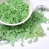 Glass Seed Beads X1-SEED-H002-F-1111-1