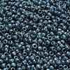 TOHO 6/0 Round Beads SEED-TR06-1206-4