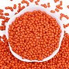 Baking Paint Glass Seed Beads X1-SEED-K010-A10-3