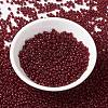 MIYUKI Round Rocailles Beads SEED-JP0009-RR2410-2