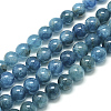Natural Apatite Beads Strands X-G-S150-18-10mm-2