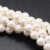Shell Pearl Beads Strands BSHE-E008-8mm-12-1