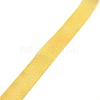 Polyester Ribbons OCOR-WH0064-75B-1
