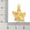 Brass Pendants KK-U044-10G-03-3