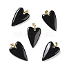 Natural Obsidian Pendants X-G-E570-01G-10-1