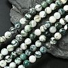 Natural Tree Agate Beads Strands X-G-K194-8mm-02-1