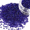 12/0 Grade A Round Glass Seed Beads SEED-Q007-F44-1
