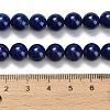 Natural Lapis Lazuli Beads Strands G-L642-B05-8mm-5