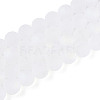 Frosted Transparent Glass Beads Strands GLAA-T032-T10mm-MBB13-2
