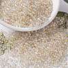 MIYUKI Round Rocailles Beads X-SEED-G008-RR4530-1