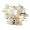 Natural Grey Agate Beads Strands G-G117-C06-01-3