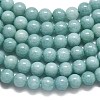 Natural Malaysia Jade Beads Strands G-L645-A01-6mm-25-4