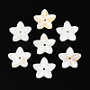 Natural Freshwater Shell Beads BSHE-T014-14-1