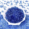 Transparent Colours Glass Seed Beads SEED-T007-16N-1